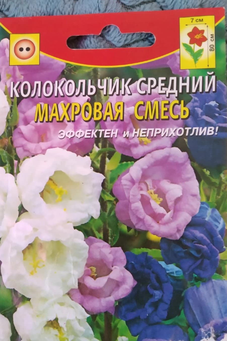 Очарована двулетними колокольчиками!