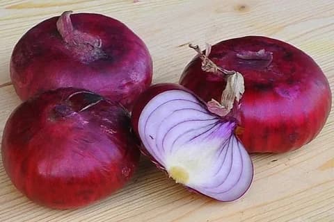 Лук репчатый Ялтинский