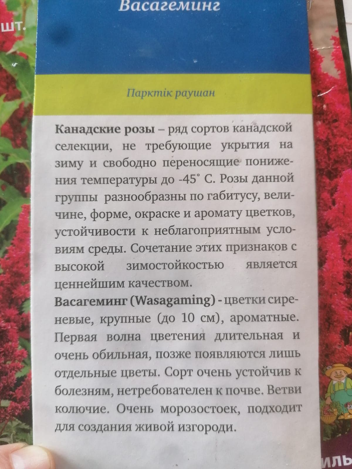 Изображения комментария