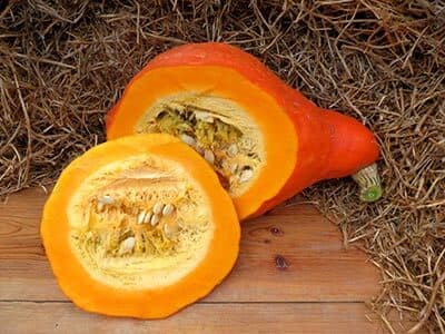 Тыква Марроу