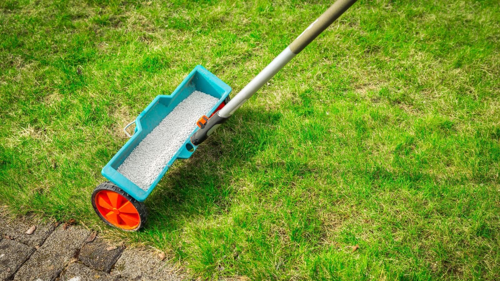 Особенности летней подкормки газона