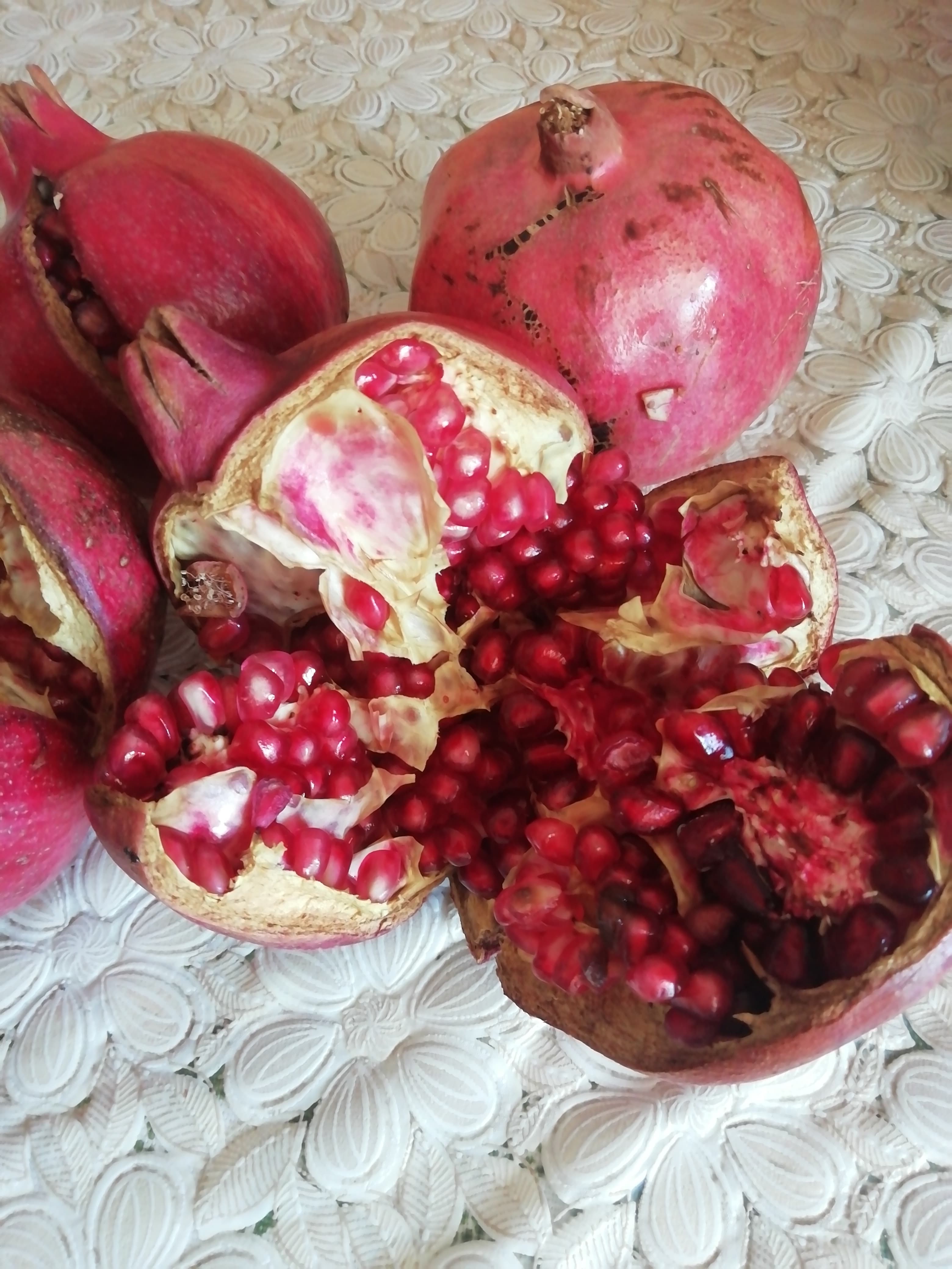 Урожай граната на ЮБК.
