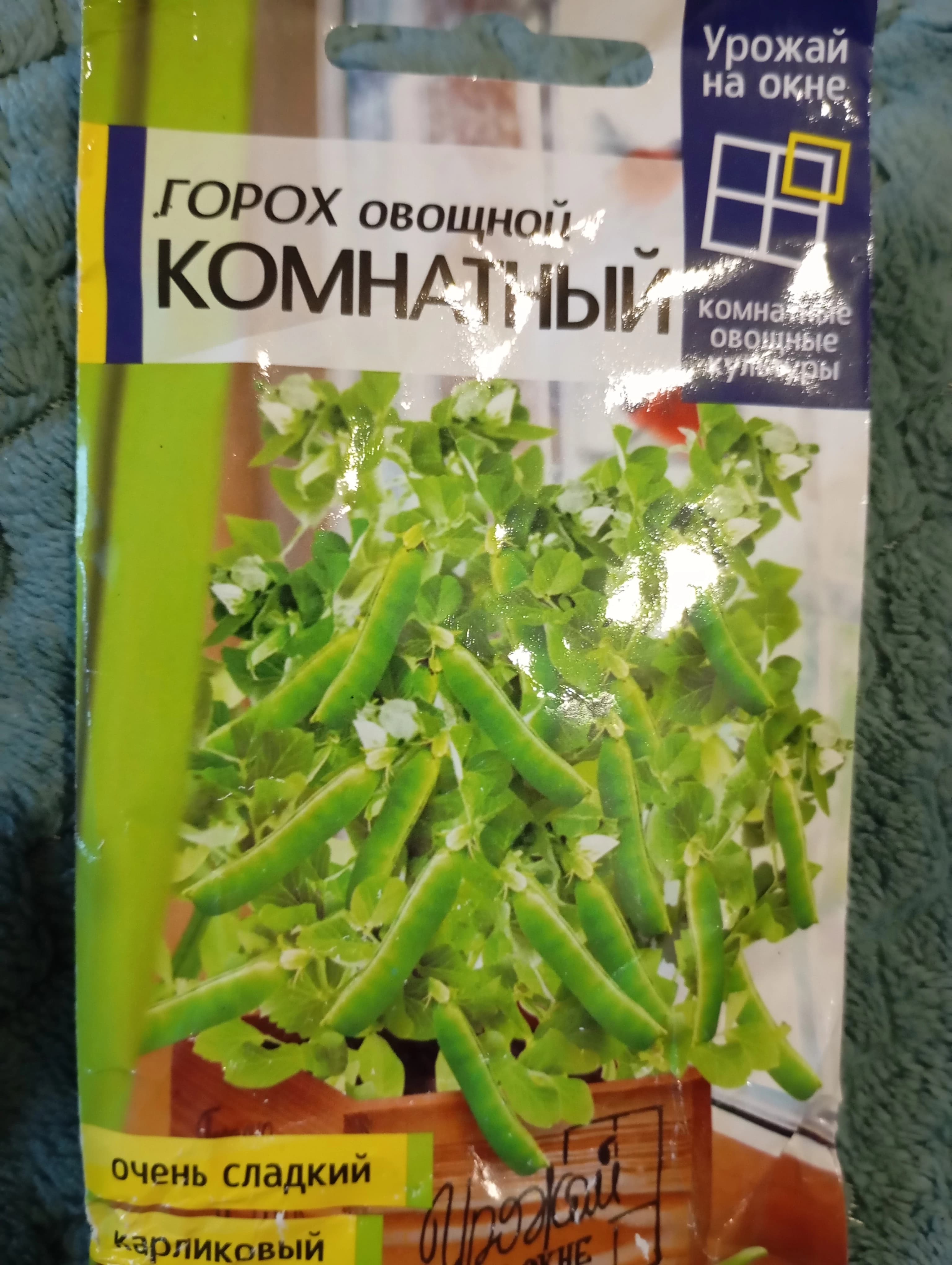 Зелёный горошек зимой на подоконнике - реальность?