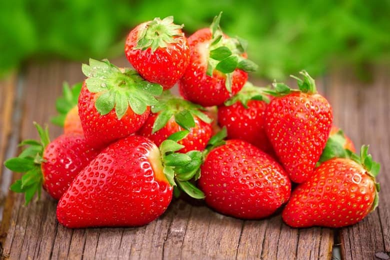 Fragaria 'Chandler' (Июньская клубника)