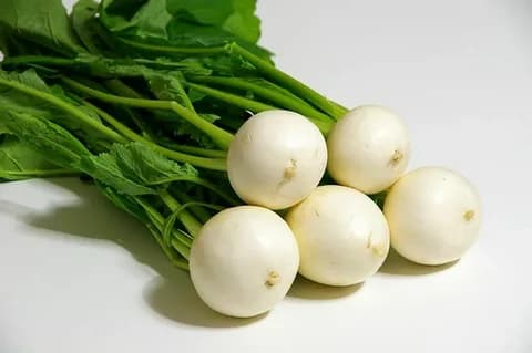 Японская редька (дайкон)