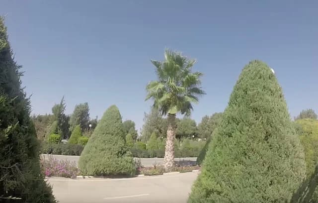 Изображения комментария