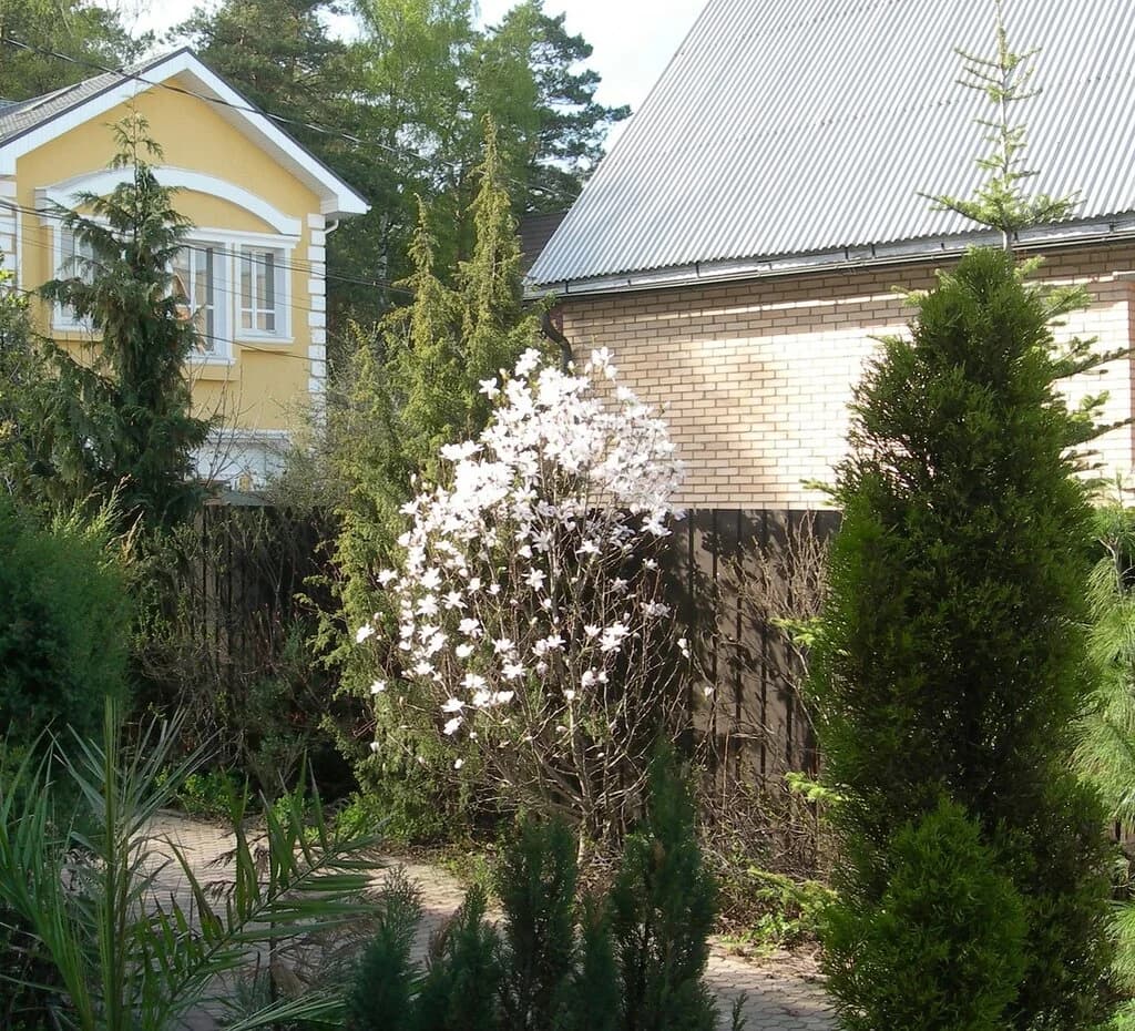 Изображения комментария