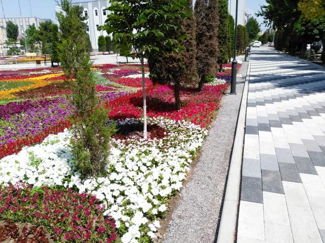 Изображения комментария