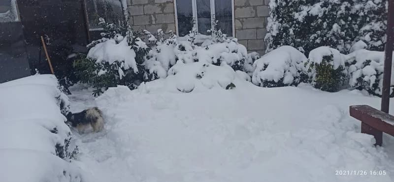 Изображения комментария