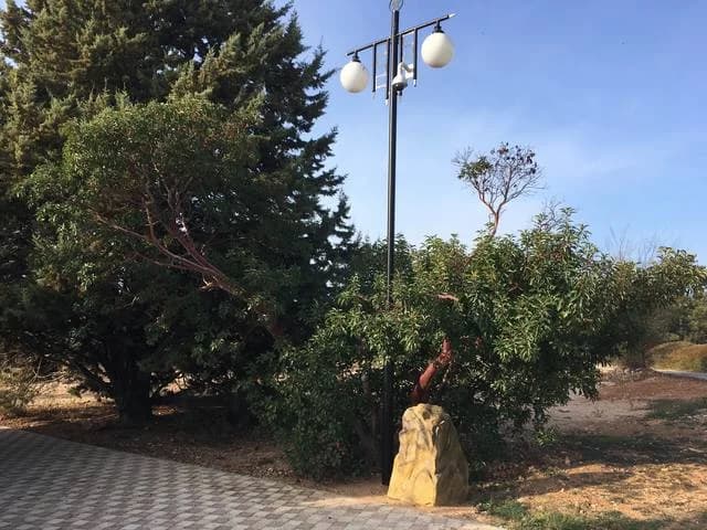 Изображения комментария