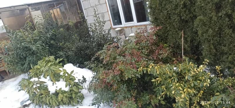Изображения комментария