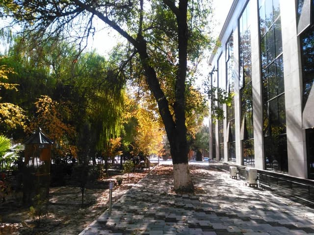 Изображения комментария