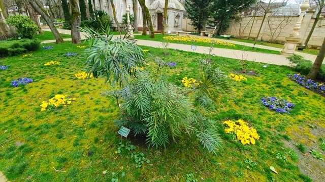 Изображения комментария