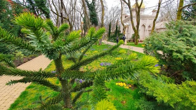 Изображения комментария