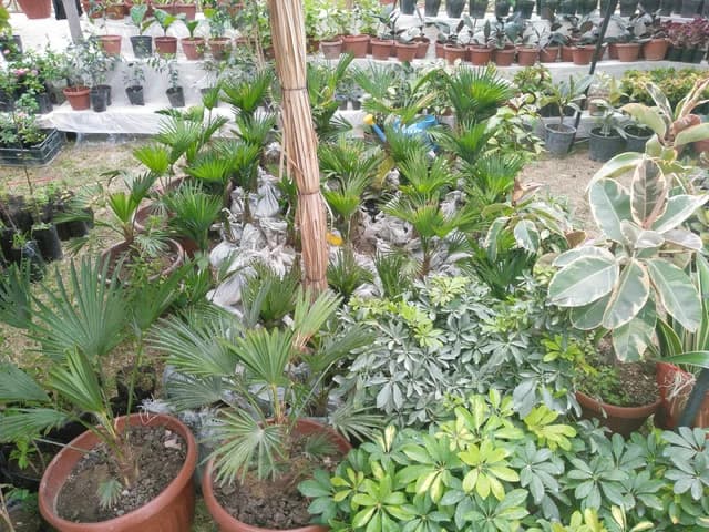 Изображения комментария