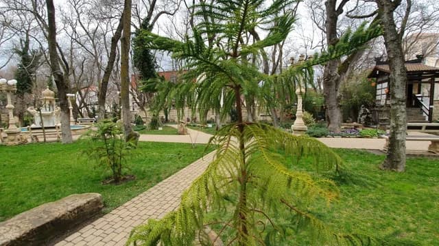 Изображения комментария