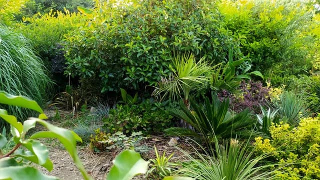 Изображения комментария