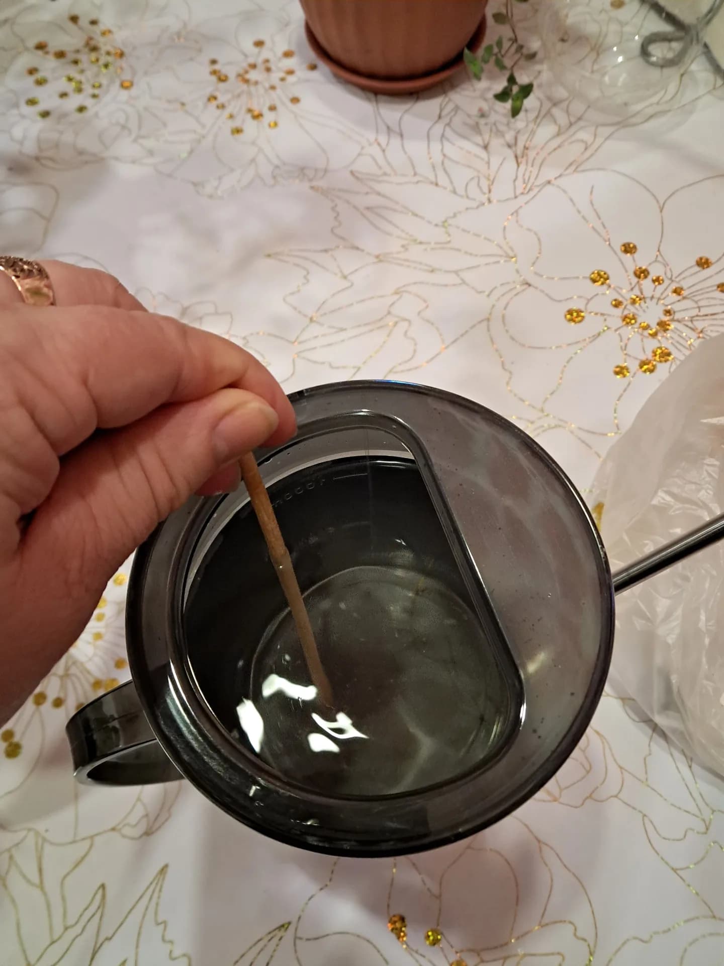 Подкормка Ташкентского после цветения.