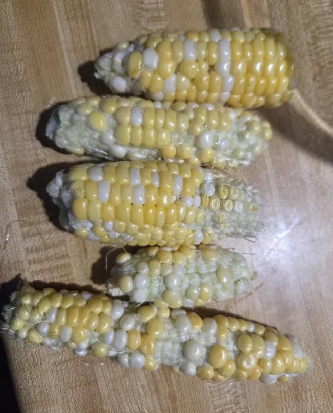 Мои ошибки с кукурузой
