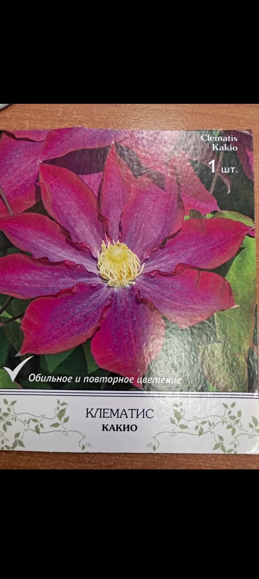 Силенд Джем или Какио?