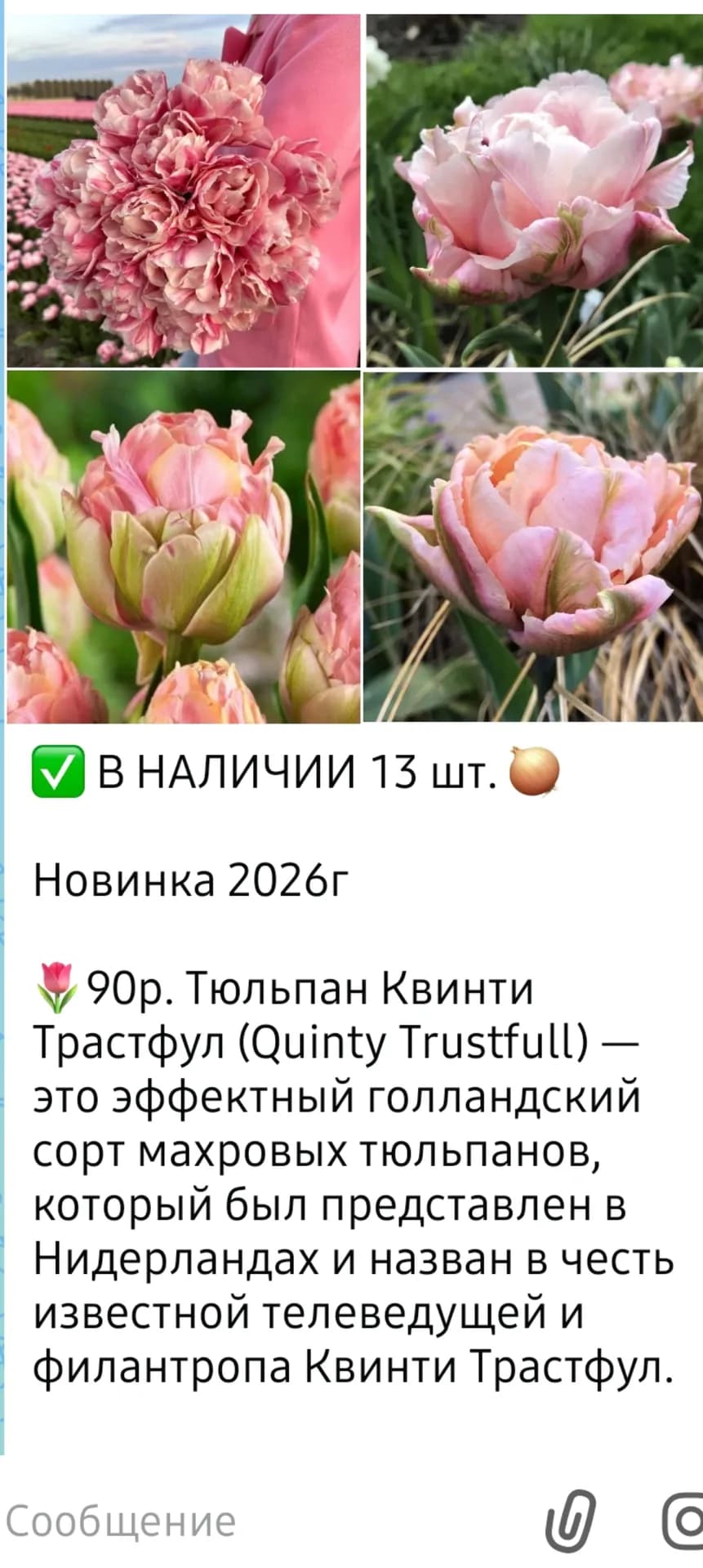 В последний вагон с луковичными.