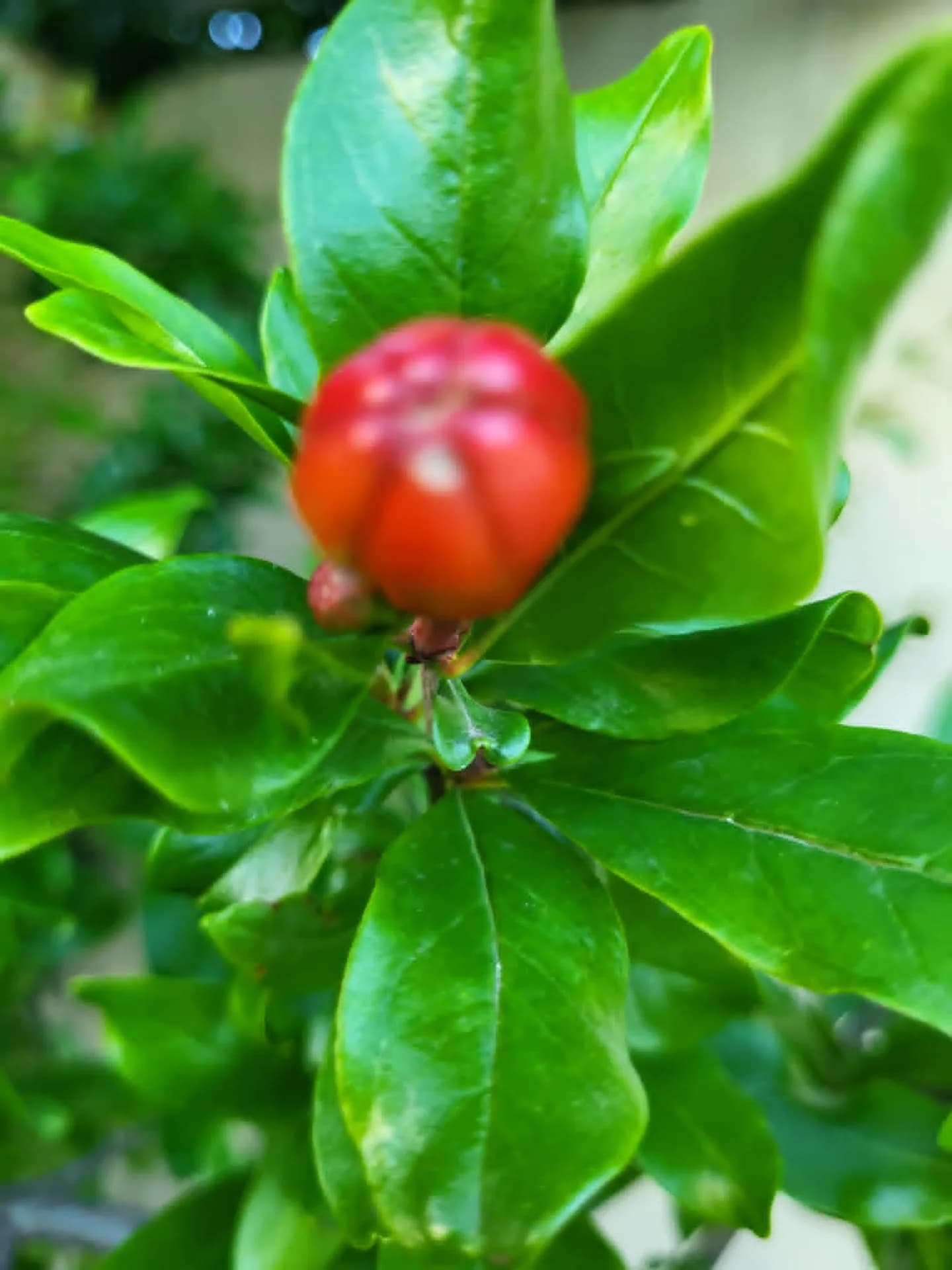 Новости в моём дворике
