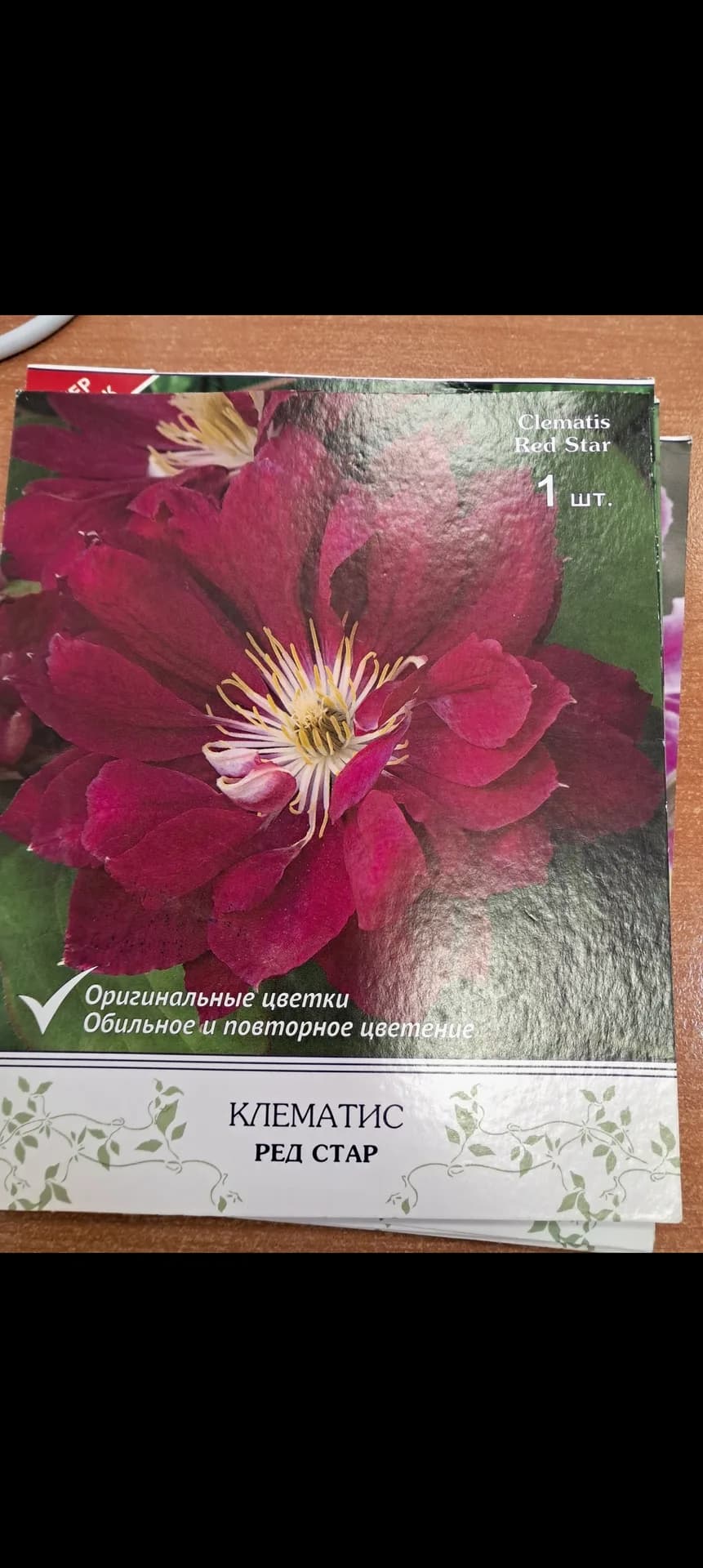 Вот и распустилась моя вишневая звездочка.
