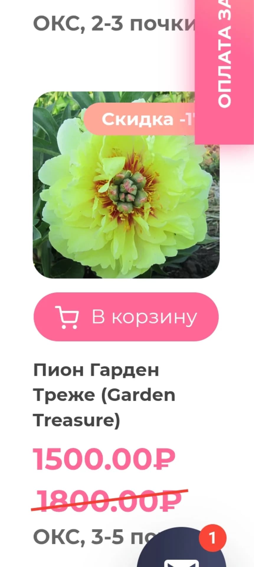Наконец-то я исполнила свою мечту по покупке двух сортовых пионов.