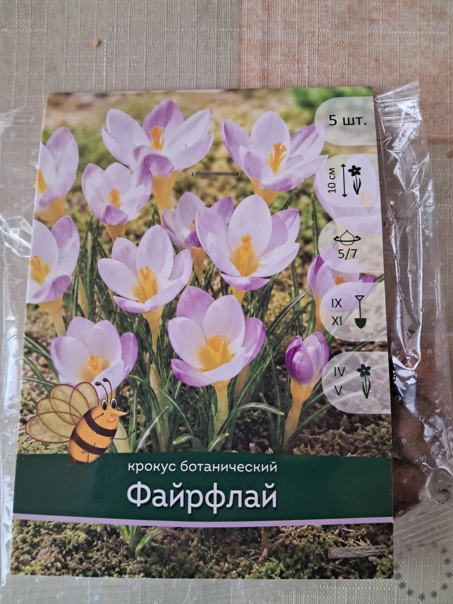 Крокус Файрфлай - моя новая покупочка.
