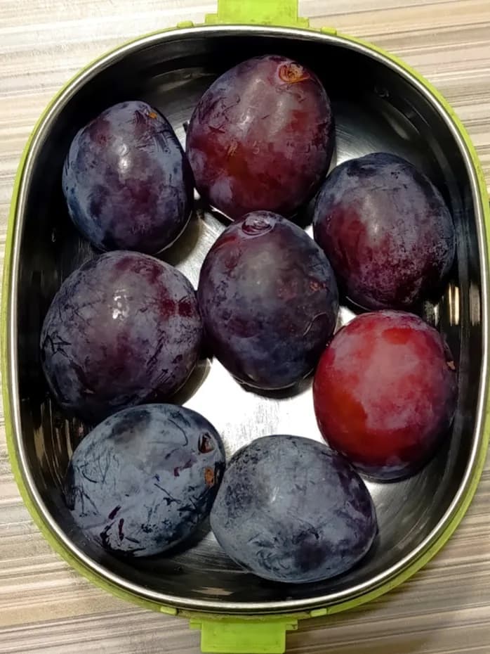 Сливы в моём старом саду