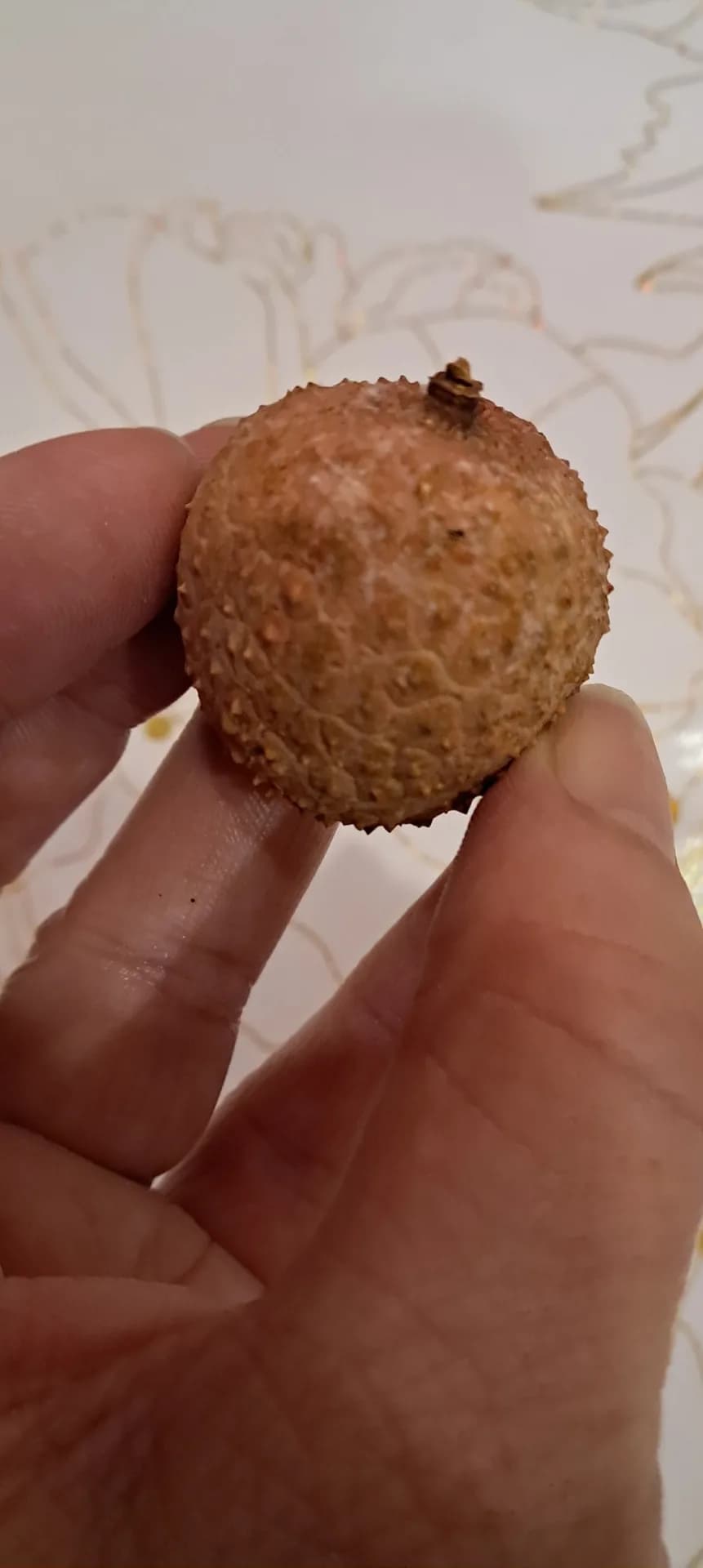 У меня из косточки вырос кустик личи.