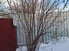 Лещина готова уже к весне.