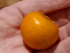 Наранхилла