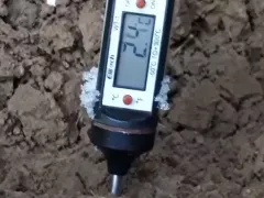 Что и при каких условиях можно сажать в саду в декабре