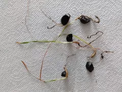 Эксперимент потерпел фиаско...