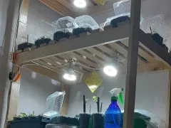 Практичная и недорогая подсветка для рассады