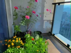 Мини-сад чувствует себя отлично