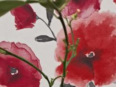 Апельсин Вашингтон Навел