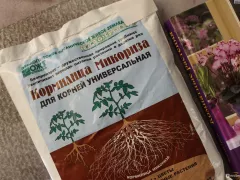 Каким растениям микориза не нужна