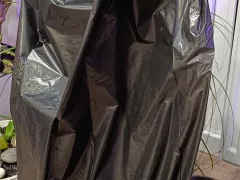 Как я воюю с паутинным клещом