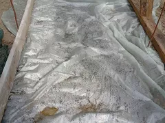 Посадила семена томатов 19 - 20 годов сразу в грядку.