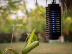 Чем световая ловушка для насекомых лучше феромонной