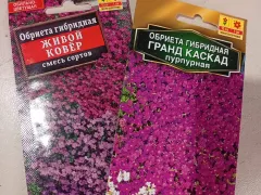 Обриета - сажаем на рассаду семенами.