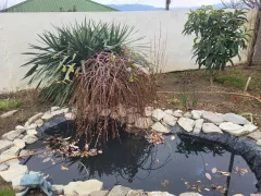 Весна в Грузии уже наступила, но везде по-разному