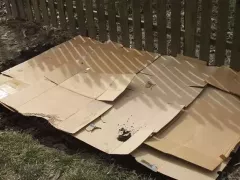 Картон на участке