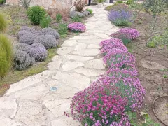 Украшение дорожки в саду