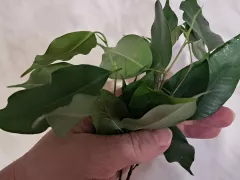 Ну совсем не такие были мои ожидания.