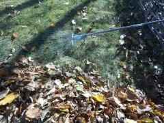 Условия, при которых полезные организмы выигрывают гонку у вредных