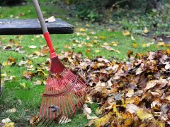 Что желательно успеть к концу года в саду-огороде  