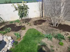 Неожиданная находка в компостной куче